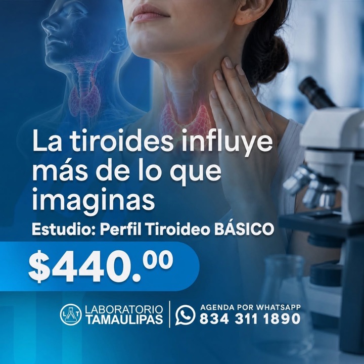 Publicación seleccionada